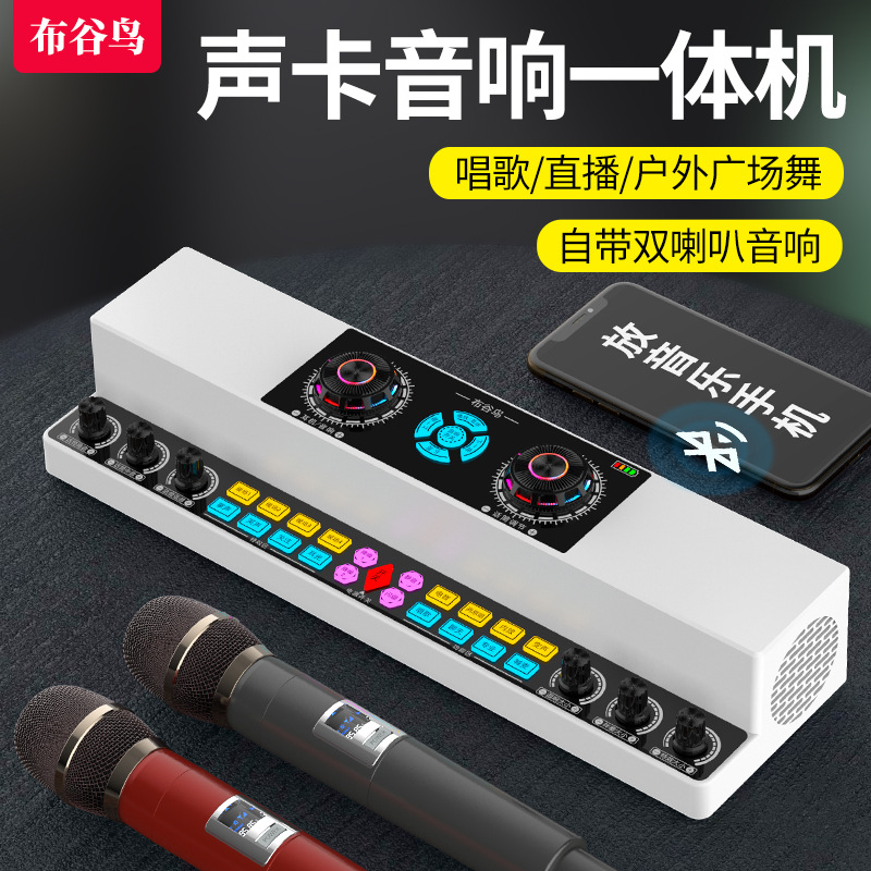 In-Stock Cuckoo Y6 Sound Card Live Singing Set 2025 New Model Y11 Karaoke Sound Card All-In-One Microphone