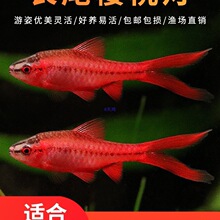 �Lβ���ҟ��tõ���~�ݸ�С���~�Ꭷ�~�^�p�~��ˮ�ͻ���w����С�~