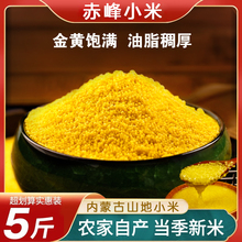 黄小米粥小黄米新米5斤赤峰小米新鲜农家五谷杂粮