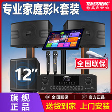 特美声家庭ktv音响套装TM-100卡拉ok机家用功放客厅k歌全套旗舰店