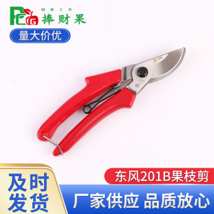 �|�������|�L201B�@�ֹ���@ˇ������֦����֦���ޘ��������ľ