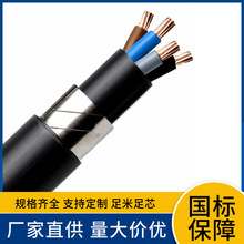 ZCNYJV22 5*0.75 1.5 2.5 4 6 10 16 25 35ƽ����о�ͻ���|��