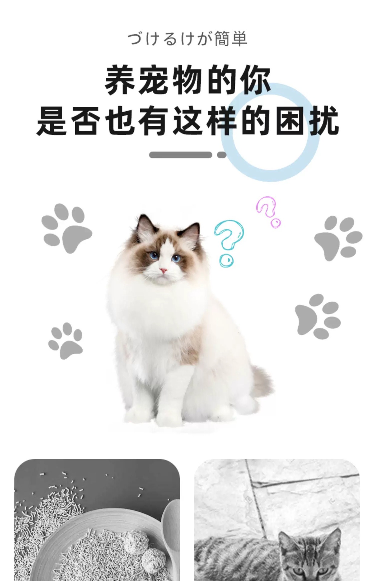 微信图片_20240903165635.jpg