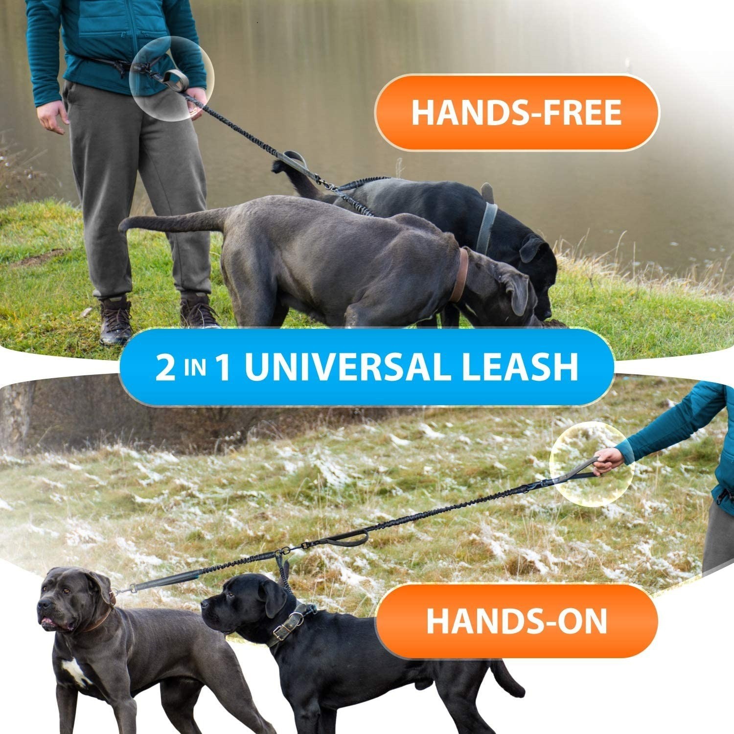 Dog Leash 6
