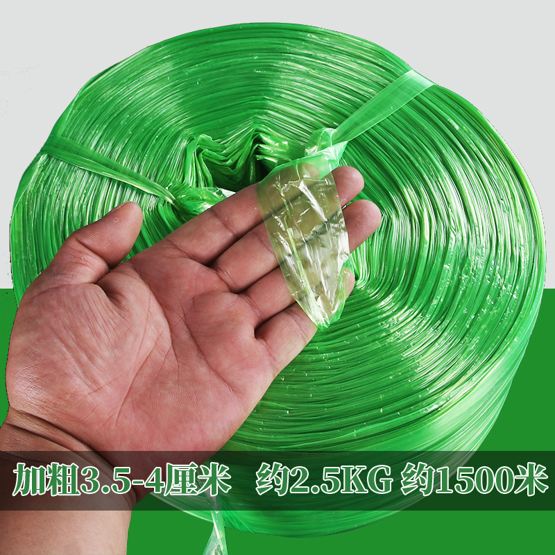 굵은 녹색 대형 롤(인기 판매)