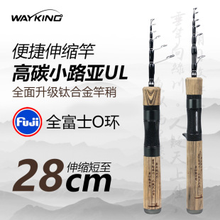 Portable Telescopic Fishing Rod Ul Adjustable Short Section Mini Micro Carp Single Rod Travel Rod Casting Rod
