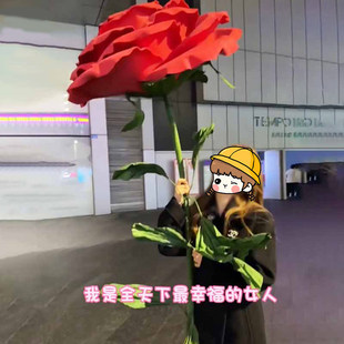 ��Y���ͷ����ֹ���ˇ��õ�廨��Y������鲼���bW�t�������