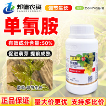 �sѿ 50%���谷�������L�{����������������lѿ���Rֲ���r��ș
