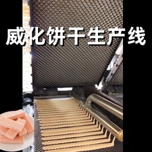 厂家全自动饼干生产机威化饼干生产线巧克力威化饼干成型浇注机用