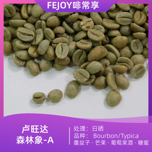 25���R���_ɭ����A �Օ����������FƤ�� ������|â��|���Ѿ�|����