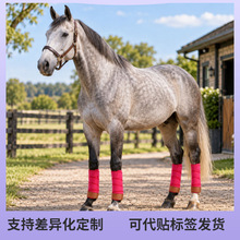 马匹护腿套耐磨防蚊虫叮咬四季通用透气可调节不勒腿马护具马绑腿
