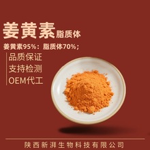 脂质体姜黄素80% 磷脂纳米包裹姜黄素脂质体 水溶性姜黄素提取物