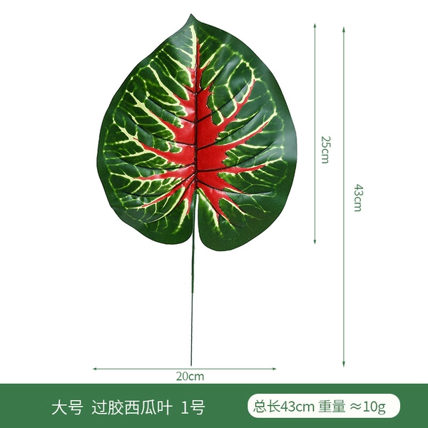 Large size glued watermelon leaves No. 1