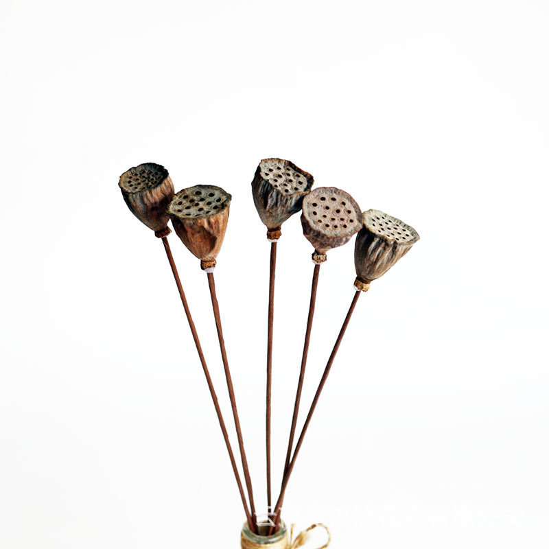 Flor seca Flor eterna Gypsophila Bola de oro No me olvides Flor seca Rosa hoja de eucalipto Pine Fruit Lover Grass al por mayor