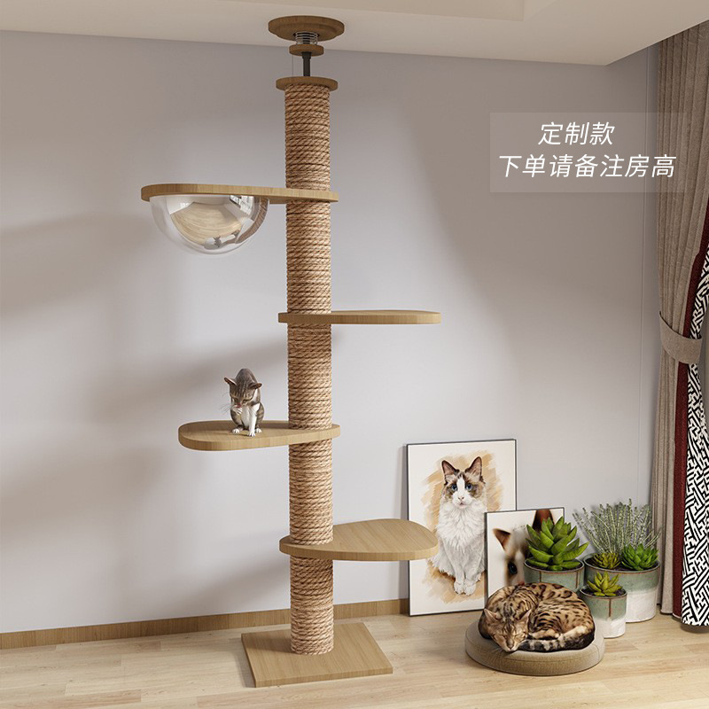 **우주 캡슐 + 페달 3개**