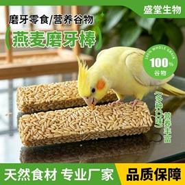 鸟食