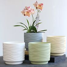 ¿ysմɻСдLбPömm