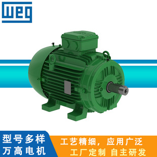 WEG�f��W21Magnet ϵ������늙C��������늙C����5.5KW~315KW