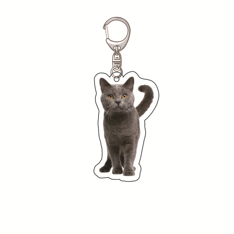 Plátano gato feliz gato acrílico llavero comida gato gato cabeza emoji paquete llavero divertido