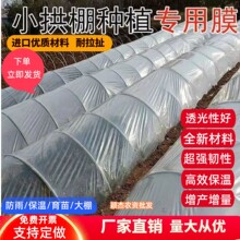 С��������Ĥ���ϱ�Ĥ���ϲ���Ĥ�r������������طN�˷����ˮ