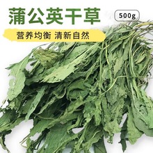 烘干蒲公英干草兔子牧草荷兰猪龙猫零食保健草净重500g