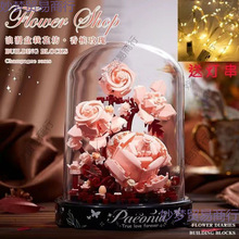 ¿㙉õWt߷eľƴbŮϵ˹