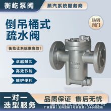 BT10��������WCB����Ͱʽ��ˮ��CS45H