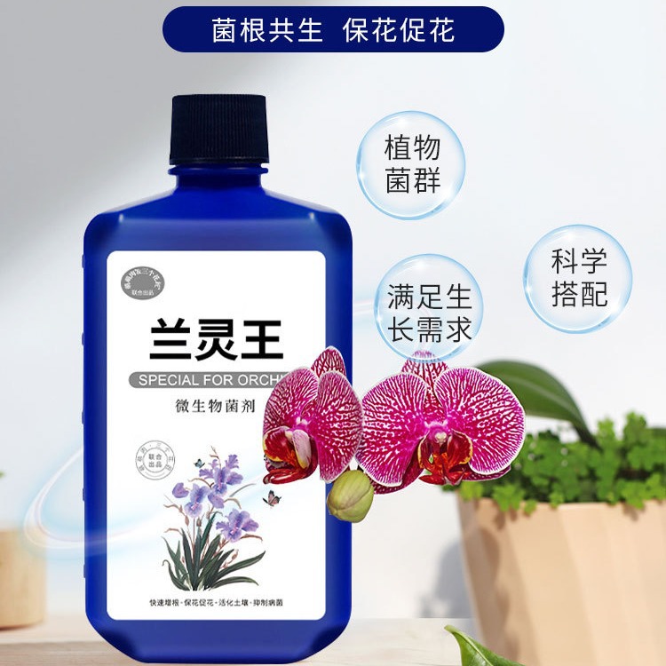 兰灵王兰花专用营养液肥料EM菌君子兰蝴蝶兰石斛兰科促花活化剂