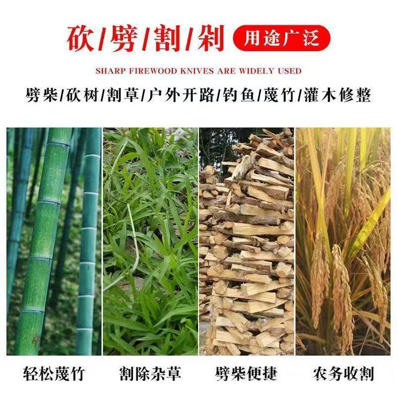微信图片_202507080949291.jpg