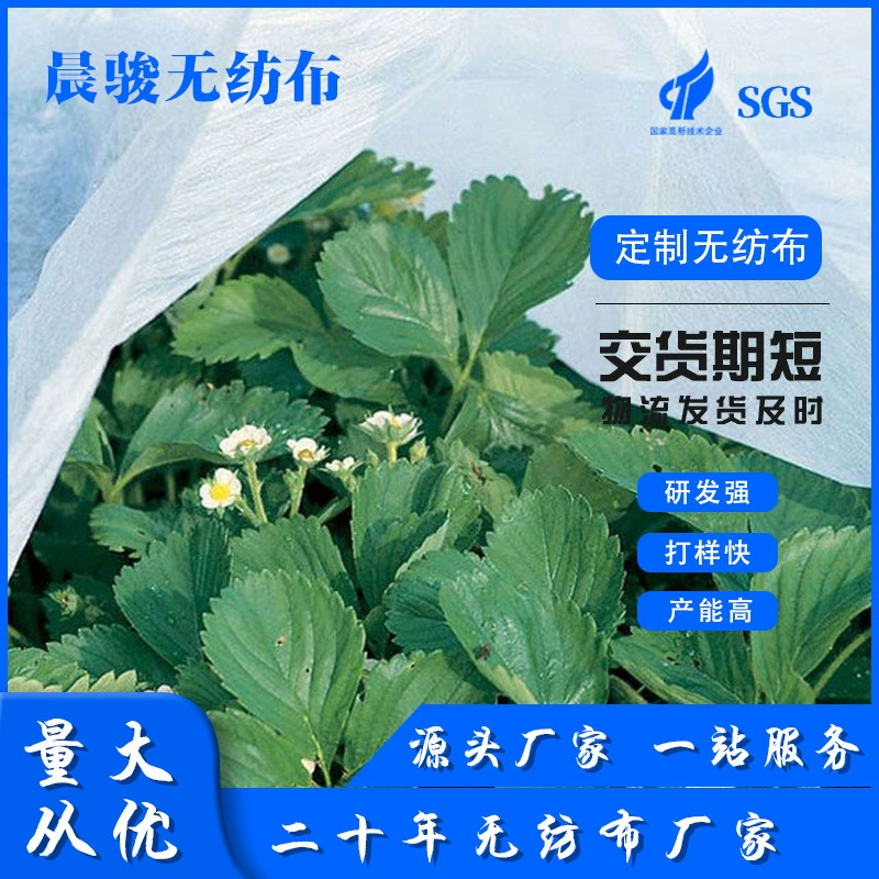 Оптовая продажа, зеленая сельскохозяйственная пылезащитная ткань, семена травы, газон, летний сад, защита наклона, край, узеление наклона, нетканая ткань, сетка для почвы