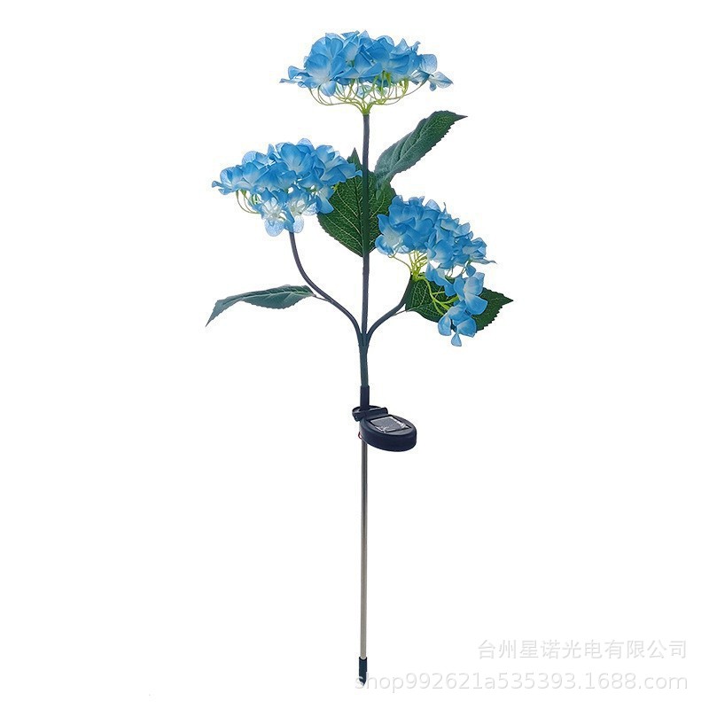 파란색 3등 수국