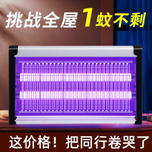 ���ß�������ω��2025�¿��҃ȼ��ò͏d���䁒젝�nω��׽����