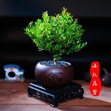 С�~���������B���ܾGֲ��ʽ�U��С�辰�k������X���ԕ��_ ��