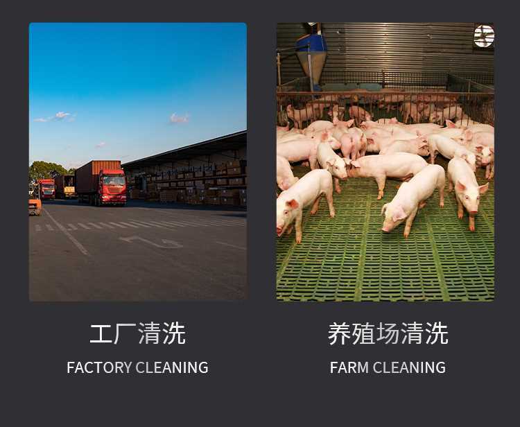 Jepus Commercial Wall-Mounted High-Pressure Cleaning Machine, Car Washing Machine, Industrial High-Power Car Washer, Household Use