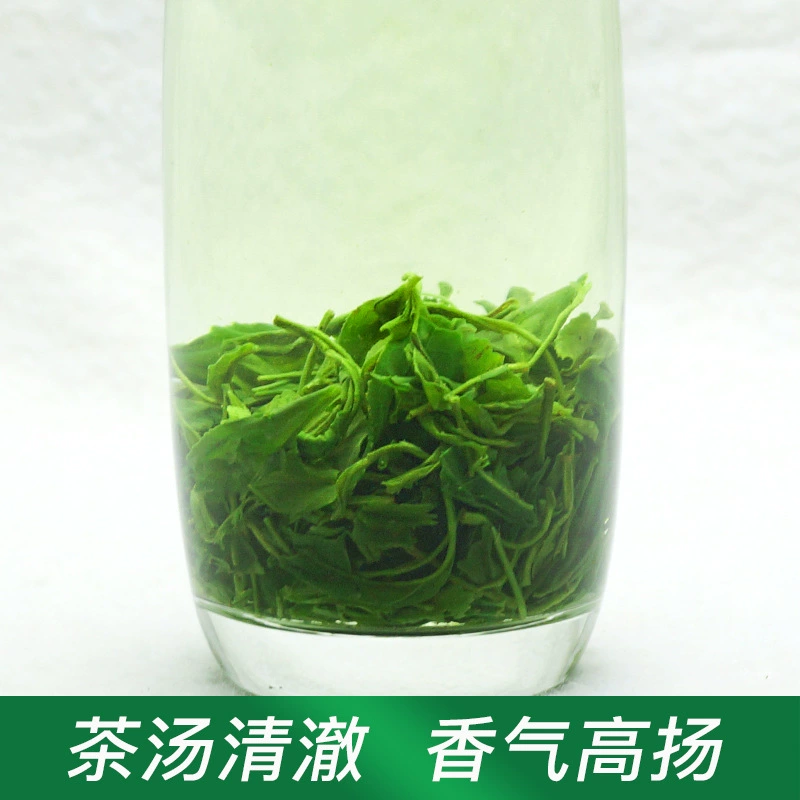Spring tea, green tea, mountain tea, sunshine