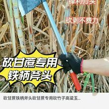 ���^����䓌����r�ø��Ӹ����Ͳ˿����������L����֦�r��呴�