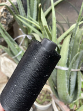 �W�z����С��Ƭ �ٴ��侀 ������Ƭ�� ��q ��ë�־�ë���侀