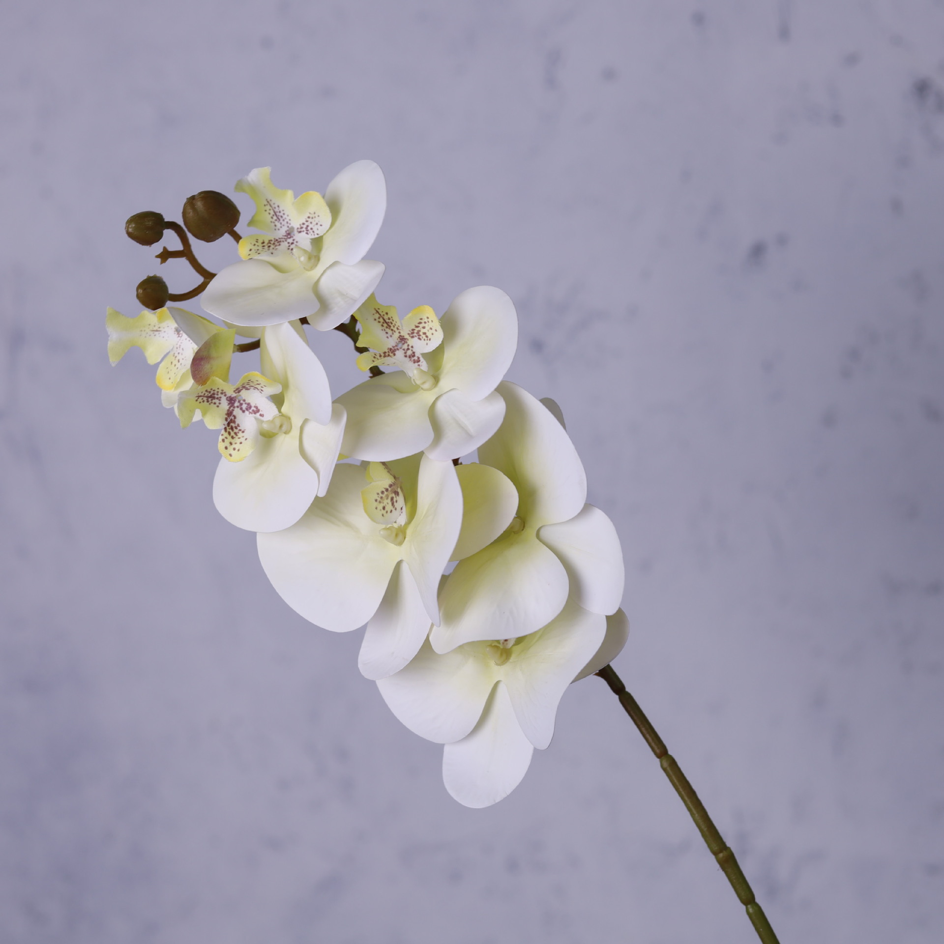 Impresión 3D de 7 cabezas de orquídeas mariposa flor de decoración de flores de alto nivel flor de nicho decoración floral decoración de sala de estar