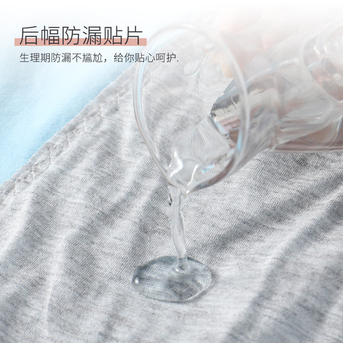 Period-Proof Menstrual Pads, Student Hygiene Pads, Pure Cotton Bottoms, Mid-Rise Pads for Teen Girls, Menstrual Underwear