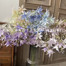 3������m�� ��@�LС�黨�Ҿӿ͏d�廨�b��滨�ٻ��S�����l