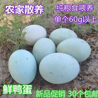 (破损包赔)农村散养新鲜鸭蛋现捡现发土鸭蛋生鸭蛋绿壳鸭蛋