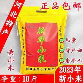 河北特产新华小米10斤宝宝月子老人粘稠黄小米2023年新米5kg包邮