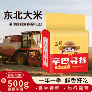 �|������һ����������0.5kg��հ��b10��2025������5��������500g