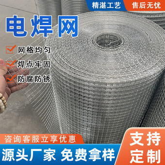 电焊网外墙保温铁丝网热镀锌电焊网工程抹灰镀锌钢丝防护网