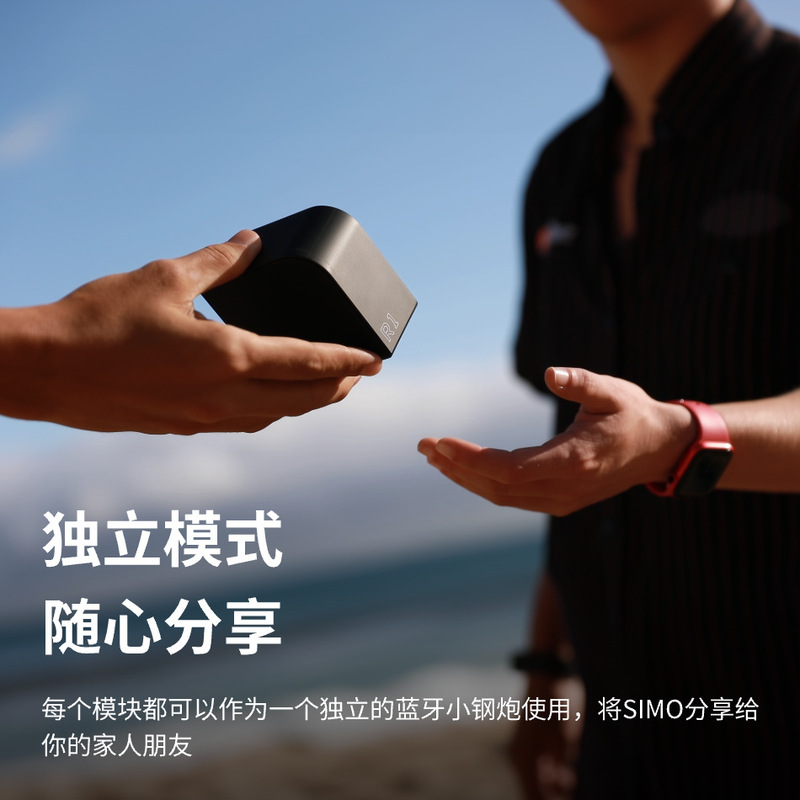Pangissimo SIMO 2 一分四环绕声户外音箱无线蓝牙便携模块音响|undefined