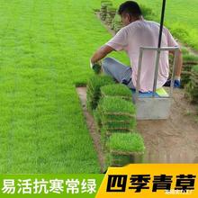 �����̨��������ͥԺ������Ƥ�G����ƺ����݄e����̺���R������