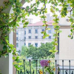 ins�����ٗl�ڒ��＾�٘��~�ӿ��{�ܵ��ړ����^�쾰�b���