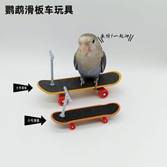 オウムのおもちゃの訓練の道具の知能のおもちゃのオウムのスケートボードの車は金の合金の支柱の専門の指のスケートボードをアップグレードします。