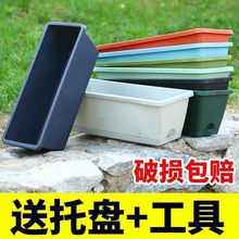 ��픷N�ˌ�������ĭ��N�������߲˷Nֲ��N����N��ݮ�Gֲ������