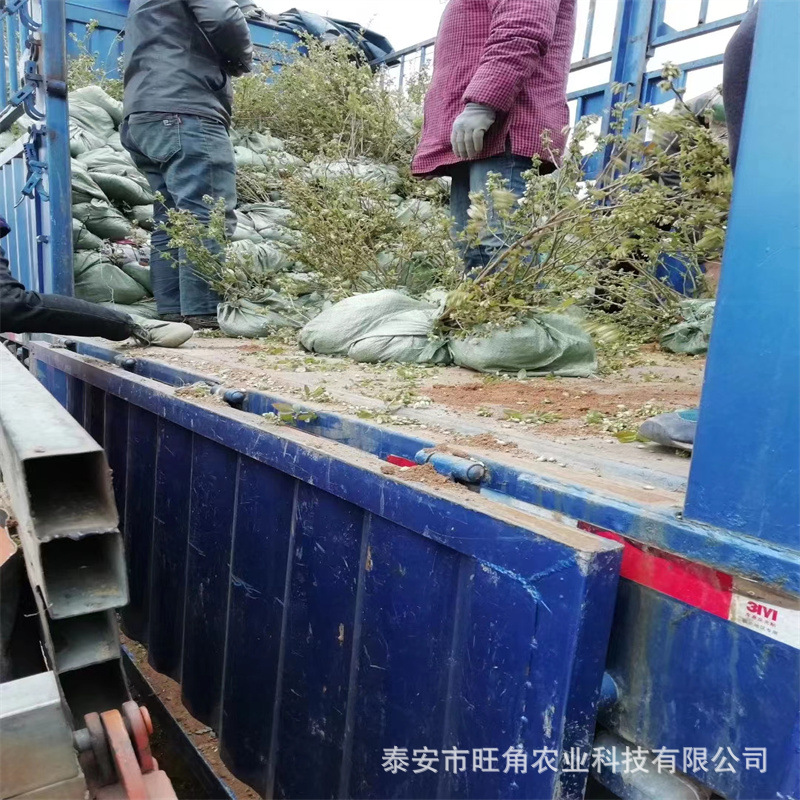 4fc25ca0348c7c3b11e9309ca2b8ea